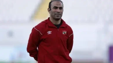 سيد عبد الحفيظ