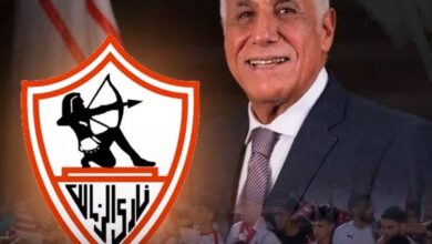 حسين لبيب