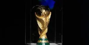 17 لقطة غريبة في نهائي كأس العالم..ما لم تنقله الكاميرات